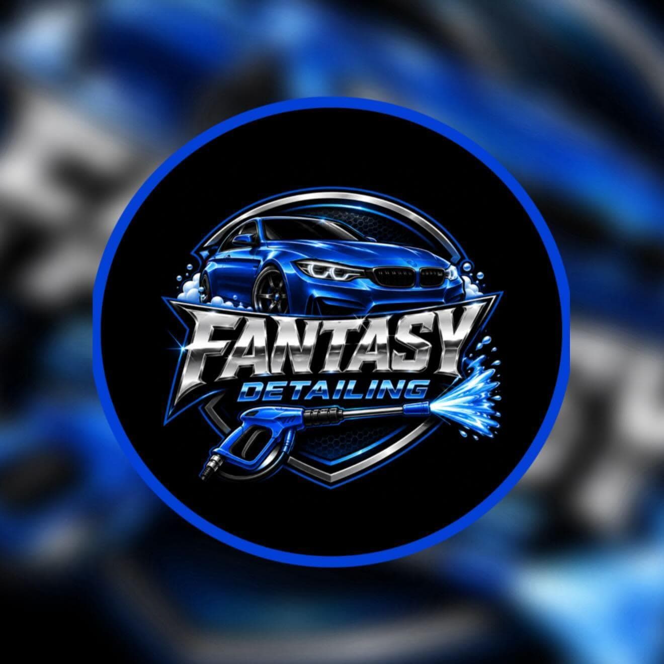 Fantasy Detailing logo featuring a blue sports car and a pressure washer spraying water.